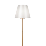 Напольный светильник (торшер) Freya FR1006FL-01G