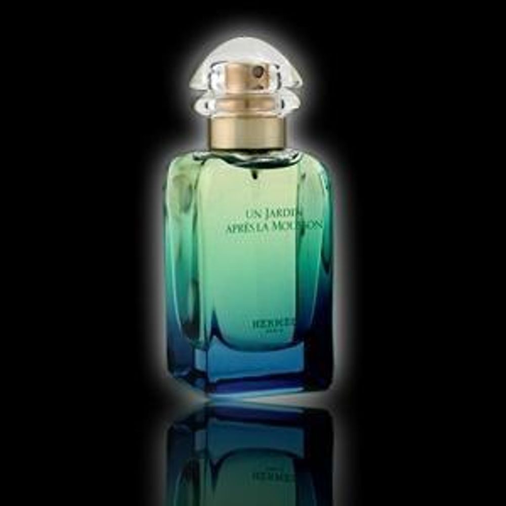 Hermes Un Jardin Apres La Mousson
