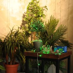 ULD-S0500-050-DTA GREEN IP20 Гирлянда светодиодная с контроллером. 5м. 50 светодиодов. Зеленый свет. Провод прозрачный. ТМ Uniel