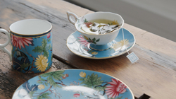 Wedgwood - Кружка Wonderlust 230мл Зверинец / артикул   1057273  / GTIN 701587442152
