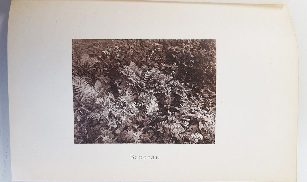 "Жизнь растения". К.А.Тимирязев. 1914г. - антикварная книга