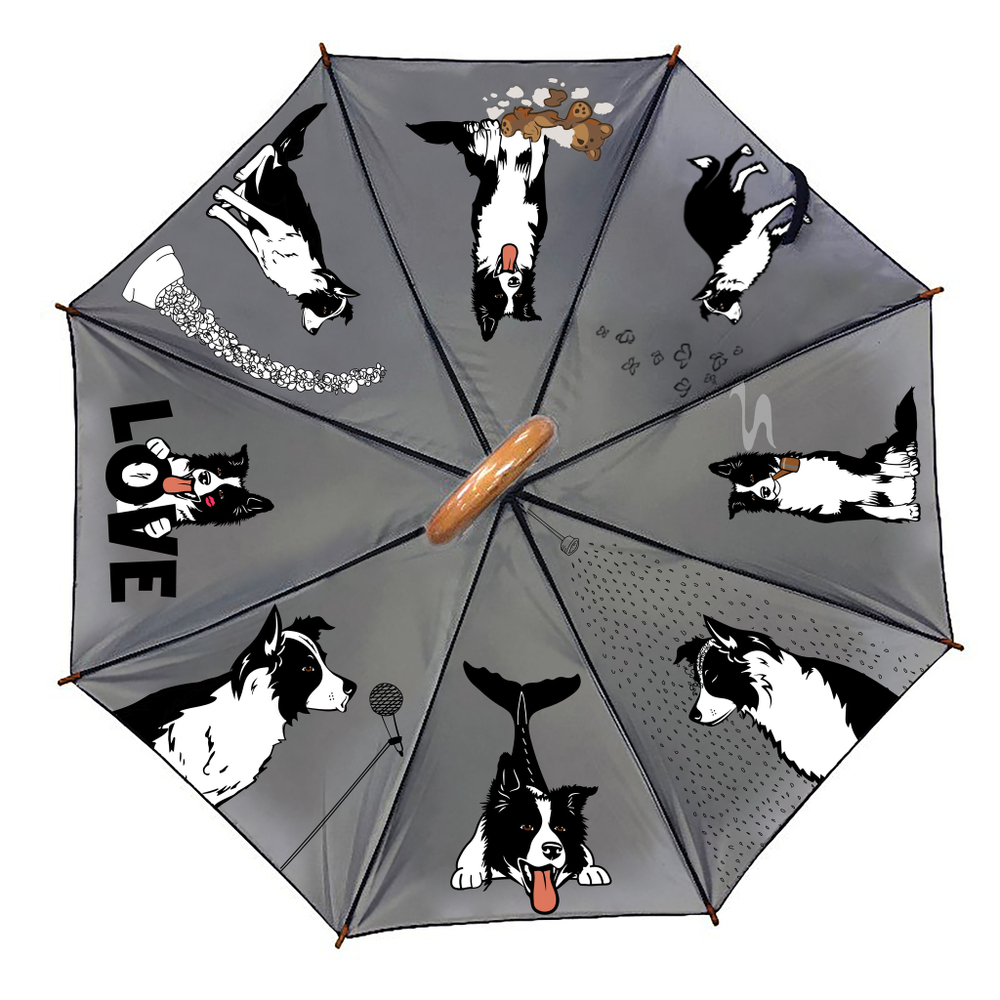 Зонт "Веселые Бордеры"