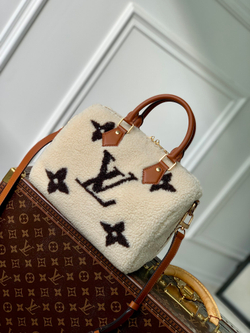Louis Vuitton Speedy 25