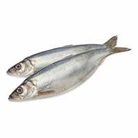 Замороженная Рыба и морепродукты
