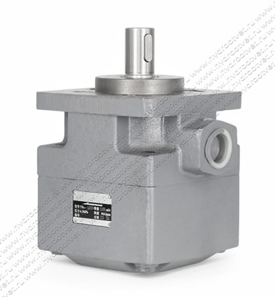 НПл 125/6,3 - Пластинчатый нерегулируемый насос с рабочим объемом 125 см3 (YB1-125U) НПл 125/6,3 - Пластинчатый нерегулируемый насос с рабочим объемом 125 см3 (YB1-125U)