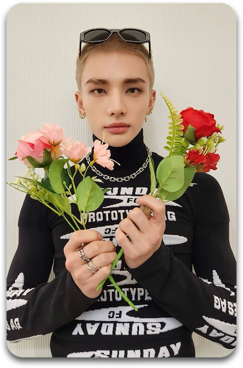 Карта / STRAY KIDS #2647