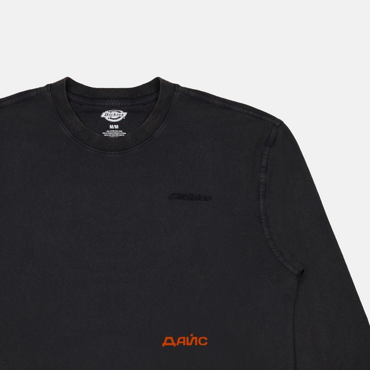 Лонгслив мужской Dickies Plentywood артикул:DK0A866CH861 - купить в магазине Дайс