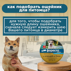 Ошейник от блох и клещей Форесто для собак до 8кг