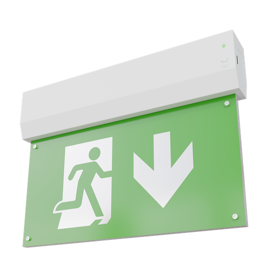 Светильник аварийный ДПО80-1-133 Faeton DT LED АСТЗ (Ардатов)