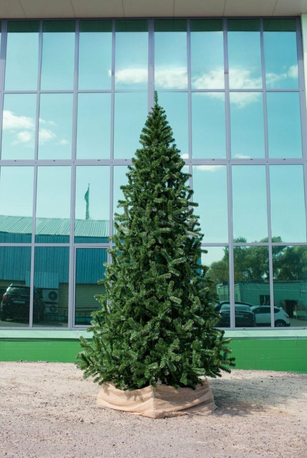 большая елка ствольная "Рублевская"