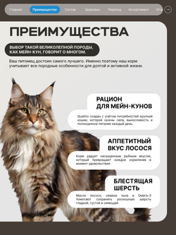 Корм сухой для взрослых кошек породы Мейн-кун, с лососем, 5 кг, QUATTRO