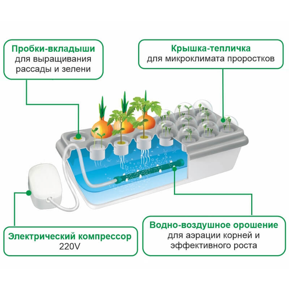 Чудо грядка двойная
