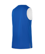 Майка двухсторонняя DIVISION PerFormDRY Double-Side RBF Jersey, синий/белый