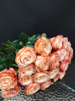 Роза Кахала (пионовидная)