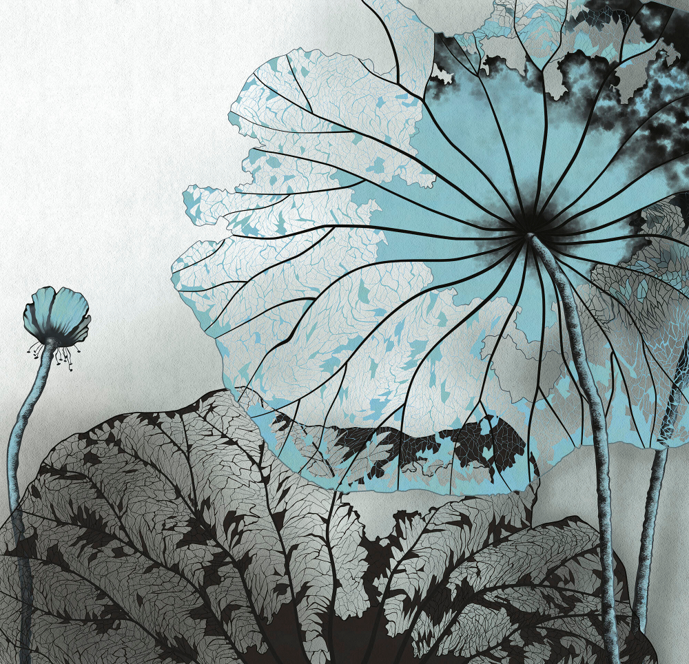 Коллекция Grafika Natura