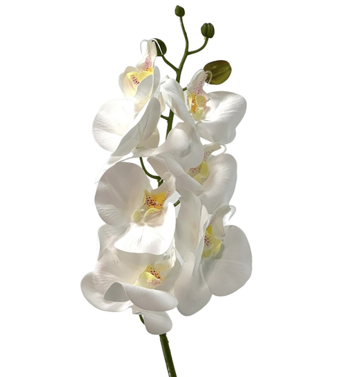 Орхидея ветка 50 см