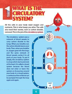 The Circulatory System. Уровень 6.  Книга для чтения с доступом к электронному приложению