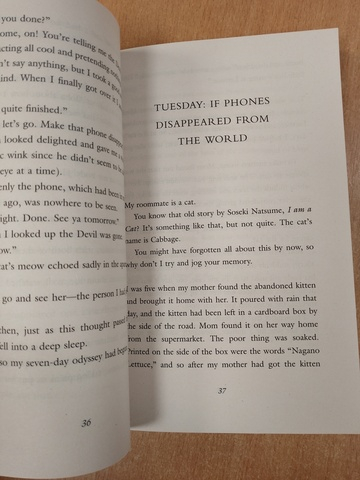 If Cats Disappeared From The World