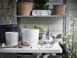 IKEA SESAMFRÖN  (ИКЕА СЕСАМФРÖН)  -  Бутылка с распылителем, прозрачное стекло, 25 мл