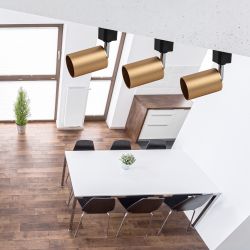 Трековый светильник однофазный ЭРА TR14-GU10 SG под лампу MR16 сатин-золото