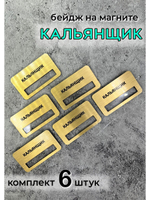 Бейдж на магните  6шт