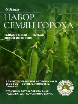 Горох Овощной, Все фиолетово, семена, 10 гр.