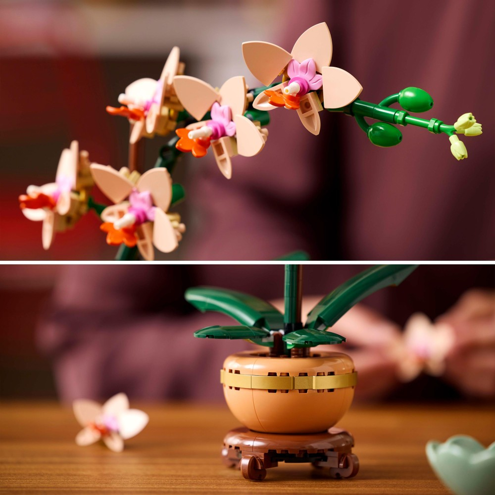 LEGO Botanicals - Маленькая орхидея 10343