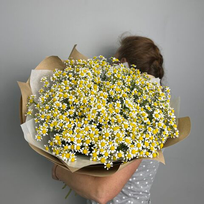 Букет из ромашек - 21 штука с фисташкой