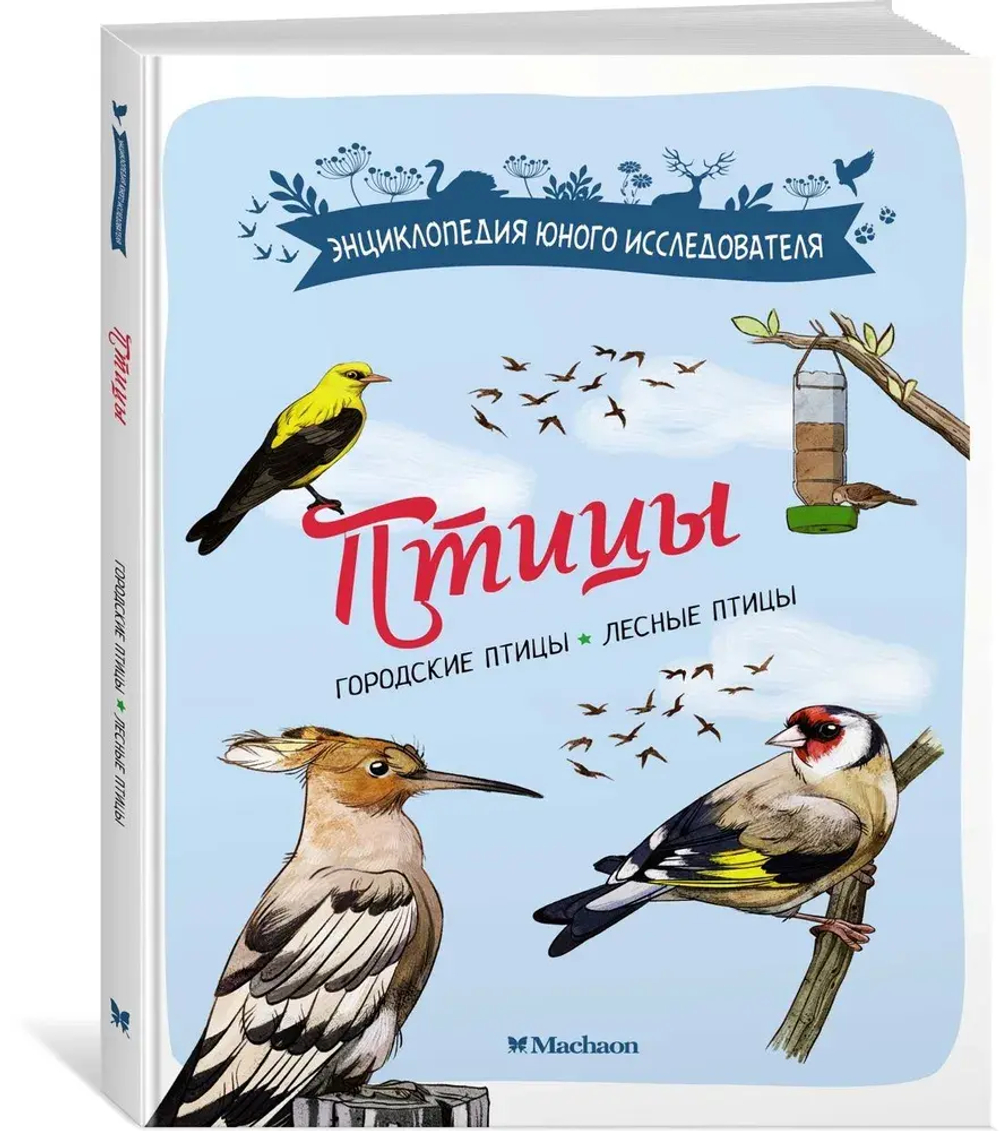 Птицы