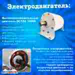 Бамперная лодка «Манго Оранж», взрослая, на часовом механизме, оранжевая 172×120×36 см