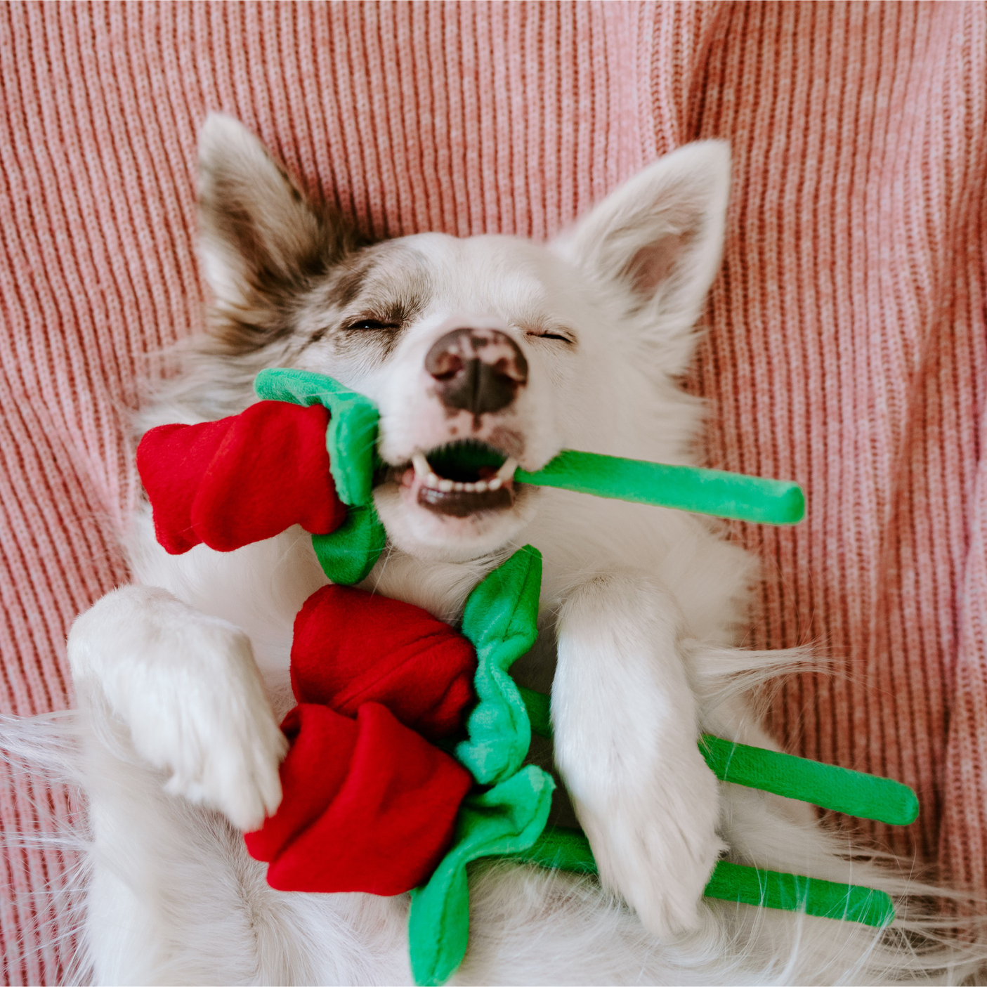 Наши цветы не вянут!