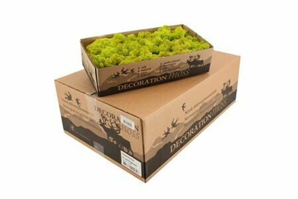 Мох ягель "Decoration" весенний