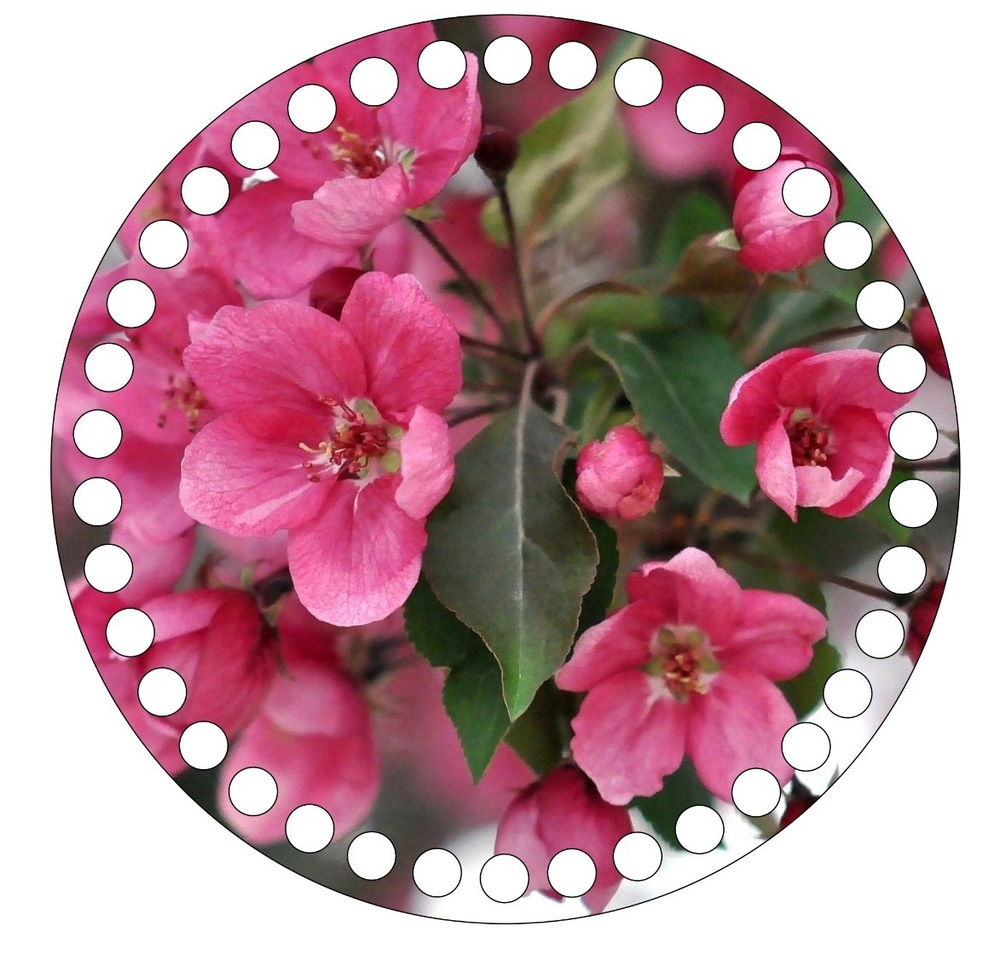 Донышко Принт 15см Дизайн