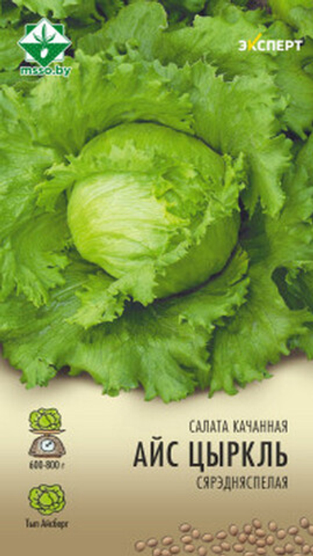 Салат кочанный "Айс Циркль" 20шт, Нидерланды.