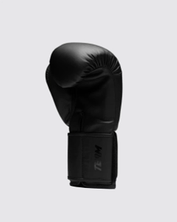 Боксёрские перчатки Fly SUPERLOOP TEAM GLOVES - Black