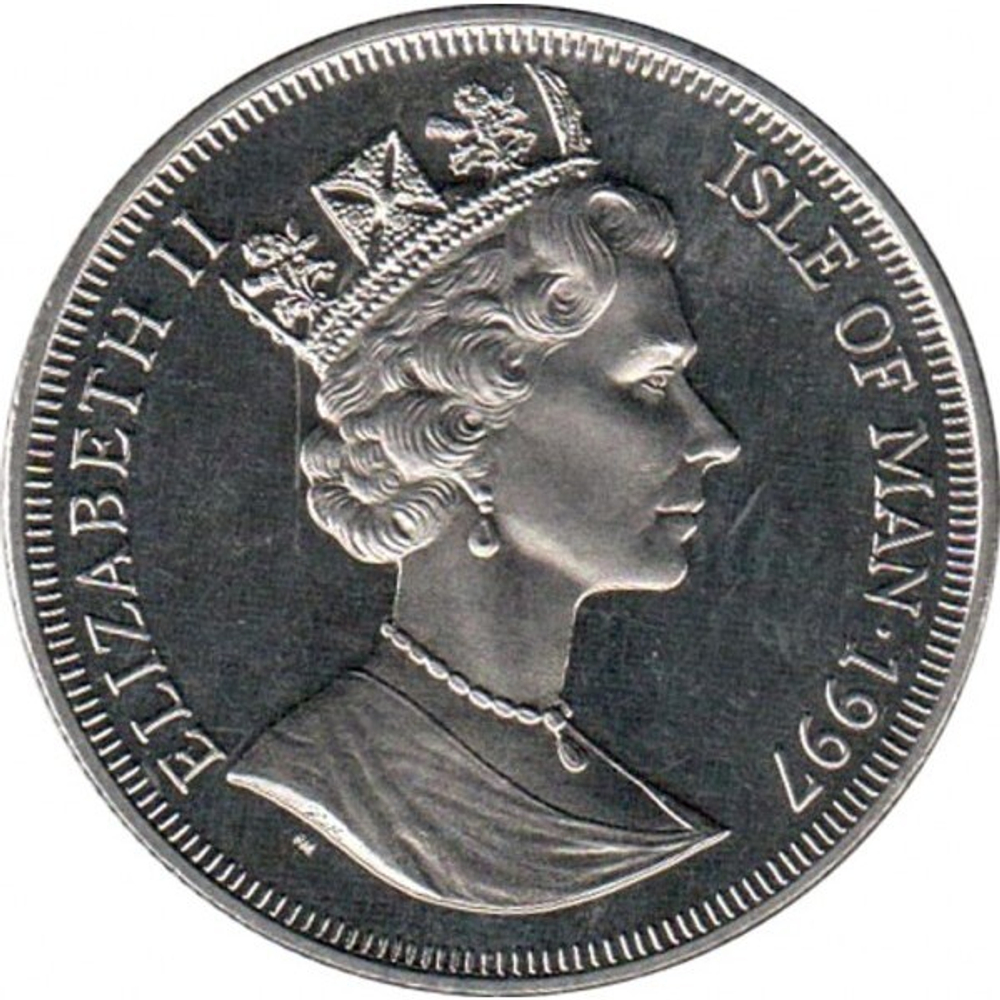 Длинношёрстная дымчатая кошка