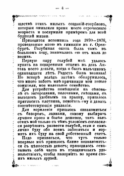 "Голубиный охотник" | Пальцев Василий Михайлович