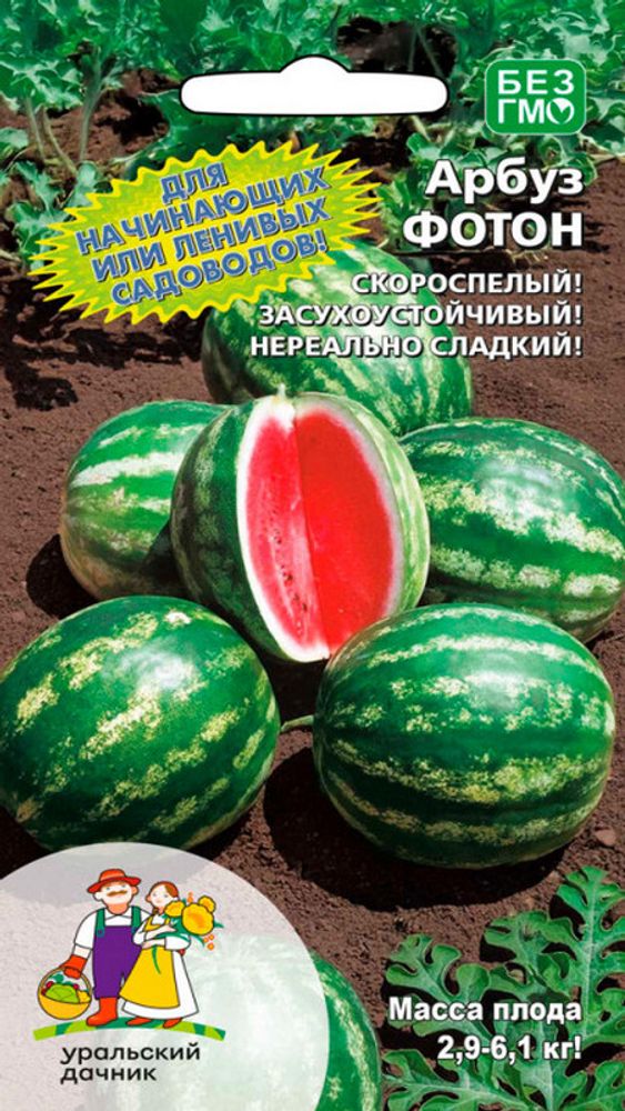 Арбуз "G. Фотон" 10шт., Россия. Арбуз "G. Фотон" 10шт., Россия.