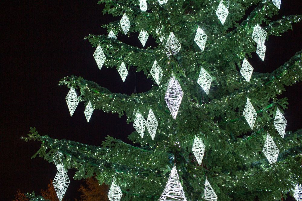 Светодинамическая елка ствольная со скамейкой, встроенная гирлянда: Холодный свет - "Лесная" (Литая хвоя) 18 м