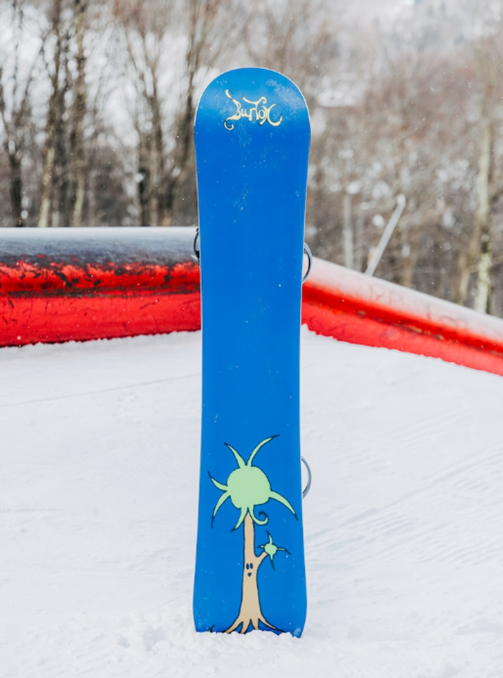 Сноуборд BURTON BLOSSOM