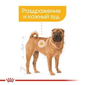 Корм для собак, Royal Canin Medium Dermacomfort, при раздражениях и зуде, связанных с чувствительностью кожи