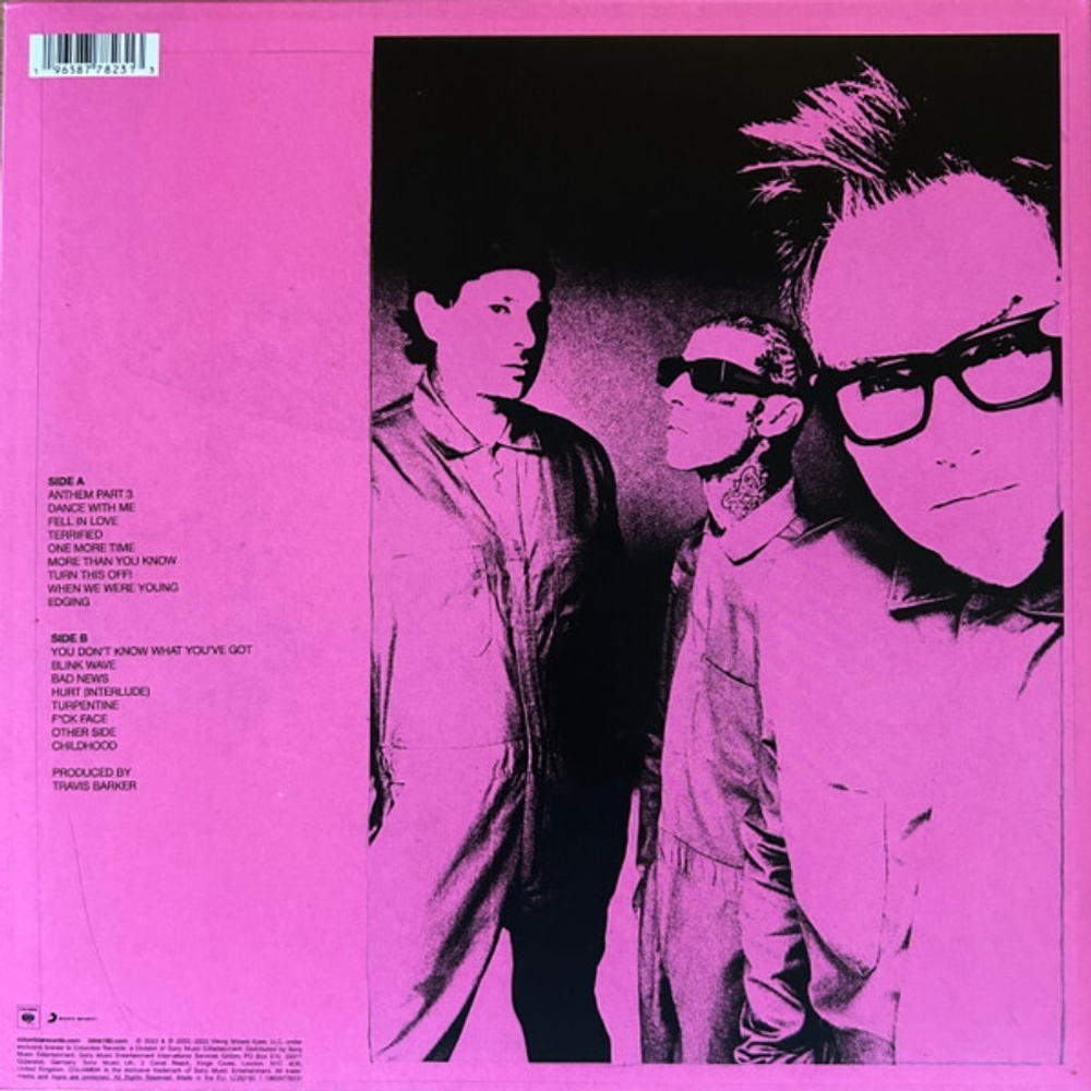 Blink-182 / One More Time... (LP)