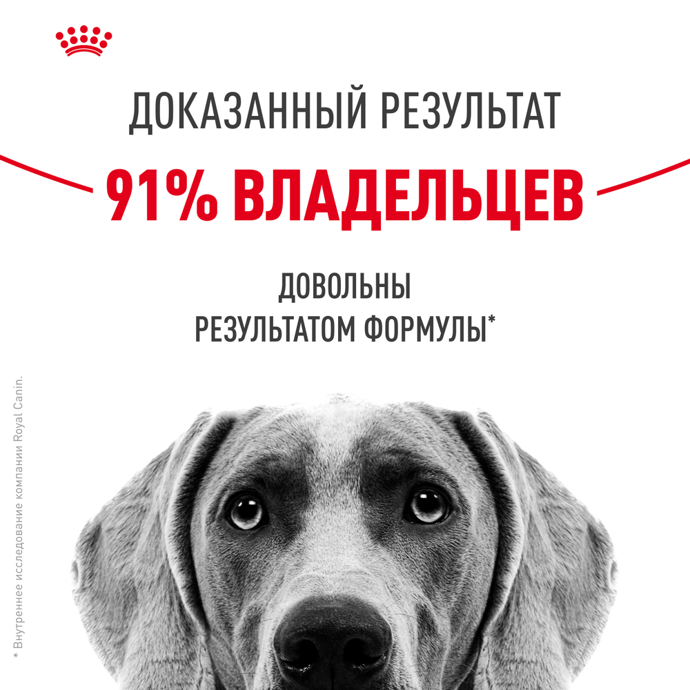 Royal Canin Medium Dermacomfort Корм сухой для взрослых собак средних размеров при раздражениях и зуде кожи - 10 кг