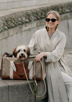 Закрытая сумка Пони-Тревелони