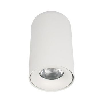 Потолочный светильник LED 7W 3000К 10220 White 3000K белый Tictac LOFT IT