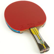 Ракетка для настольного тенниса DOUBLE FISH 6A+C, ITTF Approved, + 2 мяча