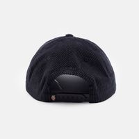  Кепка Dickies Hardwick Corduroy 6 Panel Logo Cap артикул:DK0A4ZAYBLK1 - купить в магазине Дайс