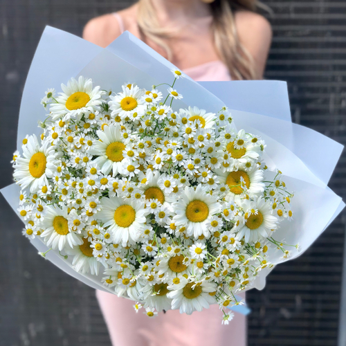 Букет из ромашек "Sunny Daze"