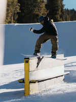 Ботинки для сноуборда Burton Men's Virgil Photon BOA