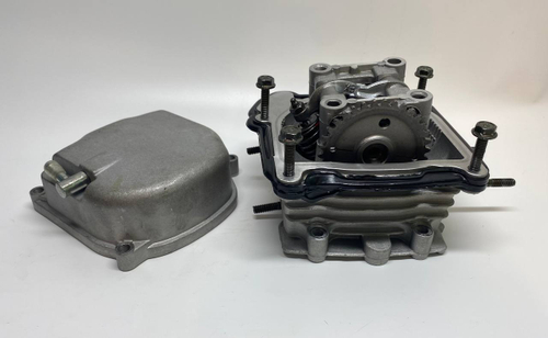 Головка блока цилиндров ( ГБЦ ) в сборе двигатель LJ139QMB колесная база 12"